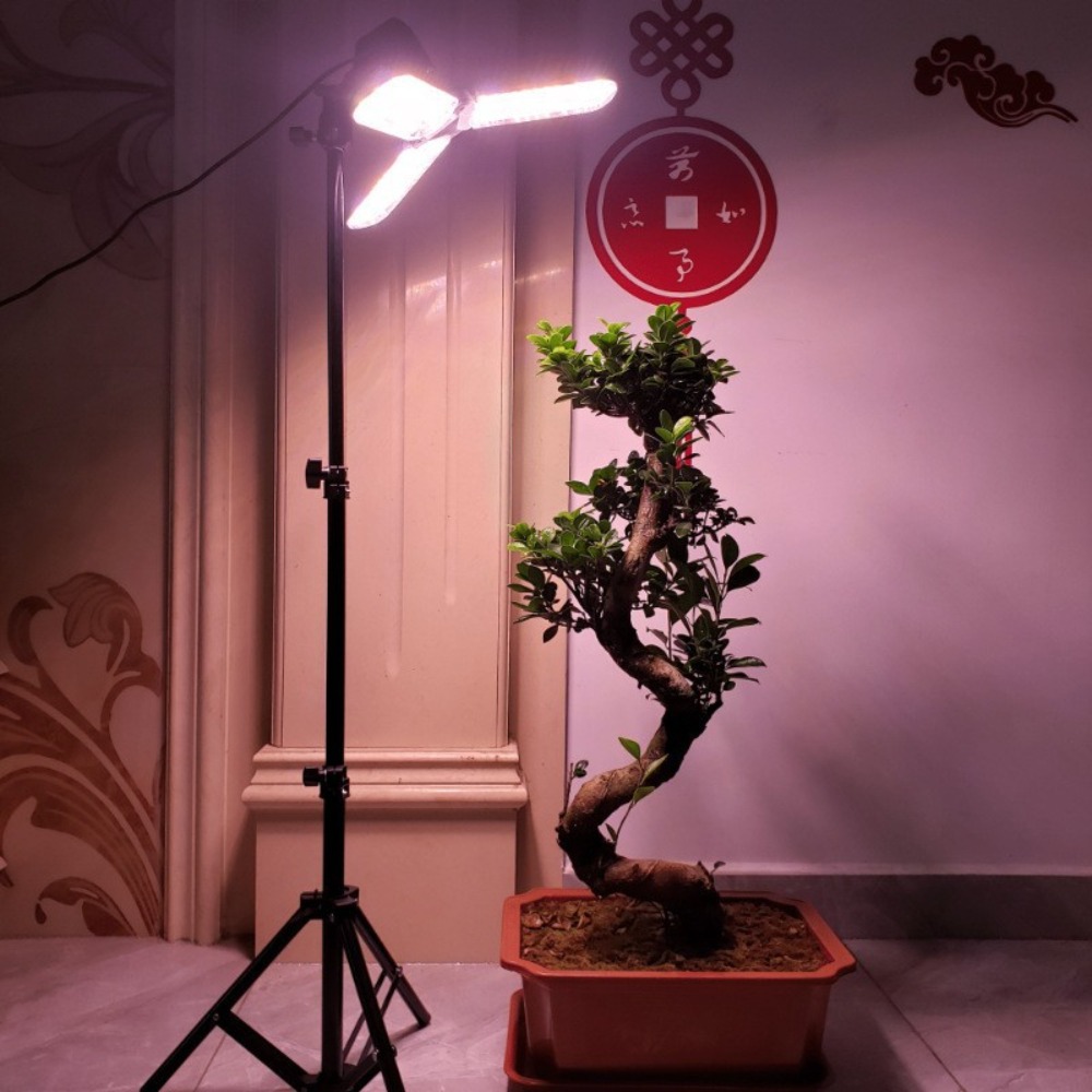 ขาตั้งหลอดไฟ 2 เมตร, ขั้วหลอดไ - Photography Umbrella บทวิจารณ์และราคา