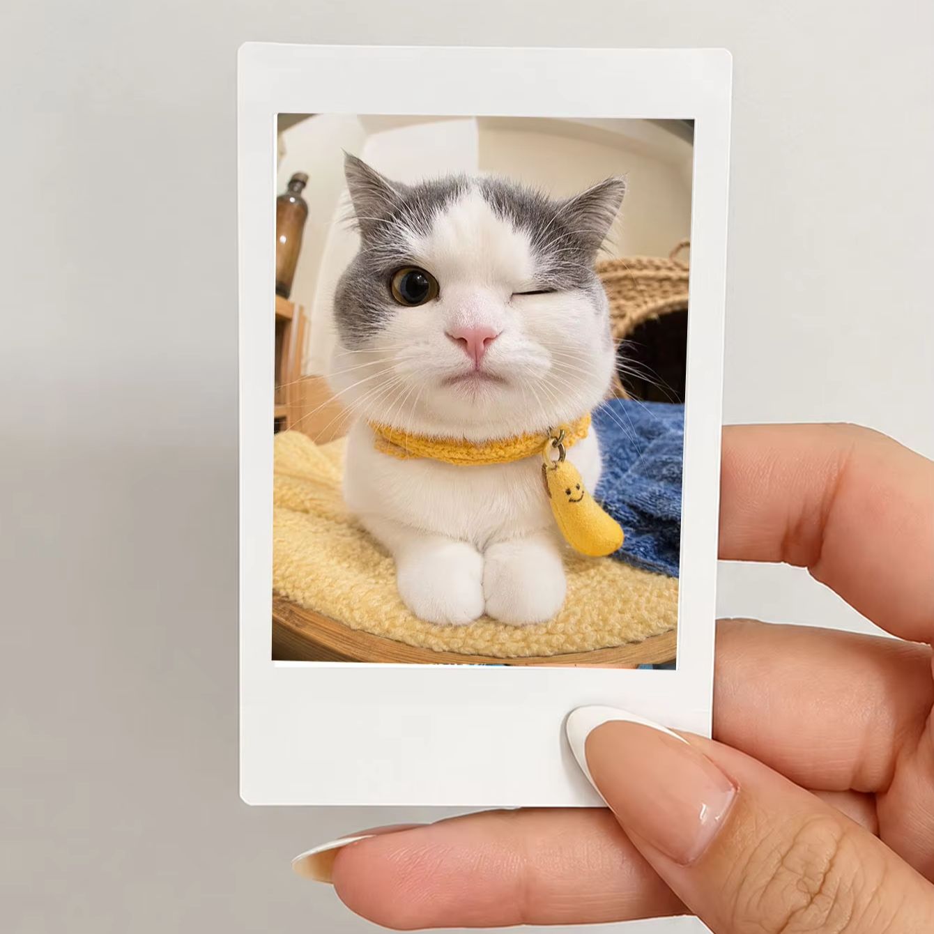 ภาพพิมพ์ตามสั่ง 1/3/5 ชิ้น, ขอ - Photographic Memory บทวิจารณ์และราคา